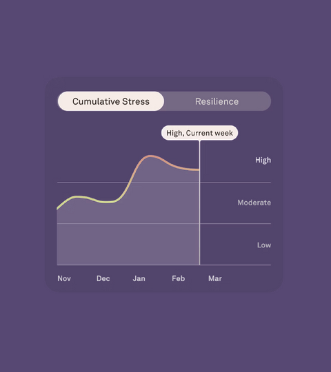 Cumulative Stress