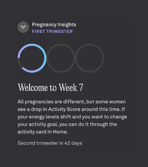 Pregnancy Insights